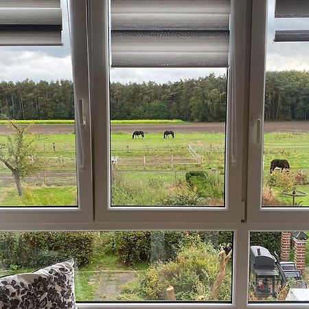 Wunderschoene Ferienwohnung Auf Dem Bauernhof Greven Dış mekan fotoğraf