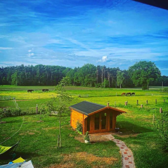 Wunderschoene Ferienwohnung Auf Dem Bauernhof Greven Dış mekan fotoğraf