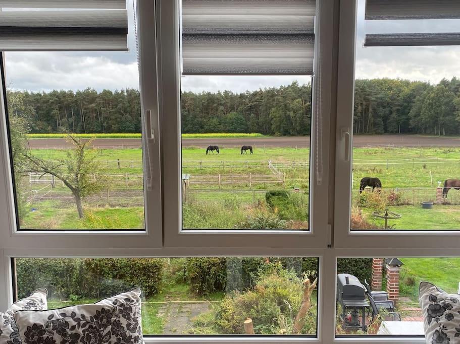 Wunderschoene Ferienwohnung Auf Dem Bauernhof Greven Dış mekan fotoğraf