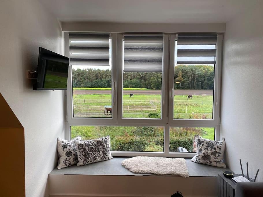Wunderschoene Ferienwohnung Auf Dem Bauernhof Greven Dış mekan fotoğraf