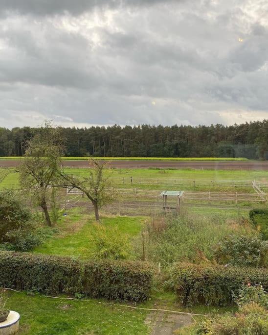 Wunderschoene Ferienwohnung Auf Dem Bauernhof Greven Dış mekan fotoğraf